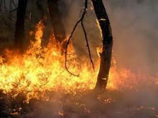 Синоптики предупреждают о высокой вероятности пожаров