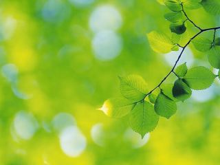 Погода в Луганске на последний день апреля