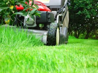 В Луганске оптимизируют работу дворников (видео)