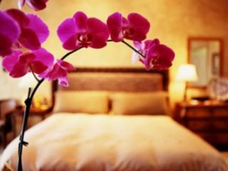 Сегодня нужно заняться уборкой. - Прогноз фэн-шуй