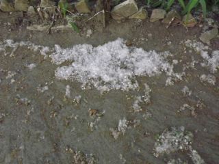 В Луганске выпал «снег»! (фото)