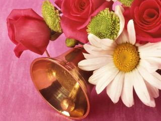 Последние звонки в школах Луганска прозвенят 24 и 25 мая