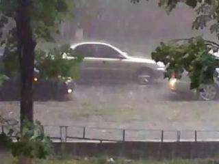 В Счастье бушевал ураган (видео)