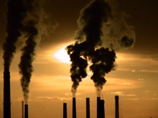 Сколько стоит чистый воздух?