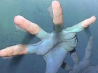 В Луганской области рыбаки спасли пьяного купальщика 