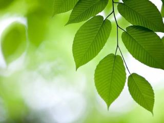 Погода в Луганске: солнечно