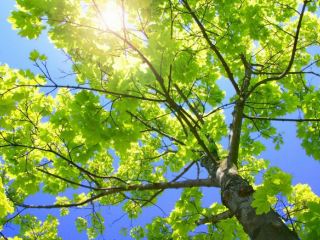 Погода в Луганске: +22°С