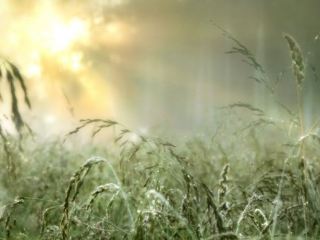 Погода в Луганске: +21°С