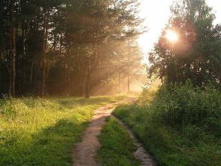 Погода в Луганске на завтра, последний день весны