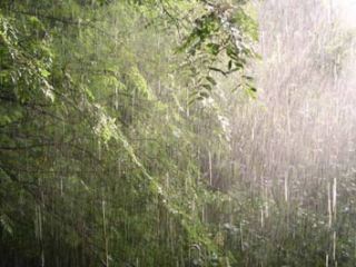 Погода в Луганске на завтра, 2 июня: гроза