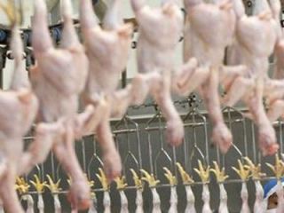 Луганскую область обеспечат курятиной (видео)