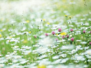 Погода в Луганске на завтра, 11 июня