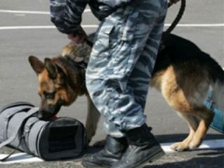 Изза подозрительной сумки в центре Луганска перекрывали движение