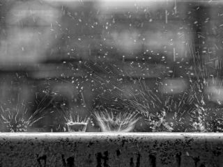 Погода в Луганске на завтра, 20 июня: дождь