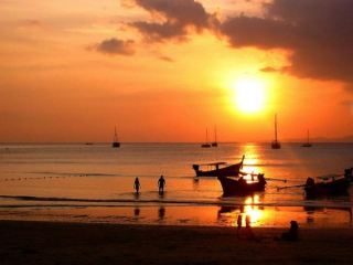 Луганчан отговаривают лететь в Таиланд из-за вспышки смертельной лихорадки