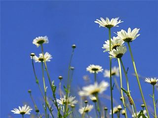 Погода в Луганске на завтра, 26 июня