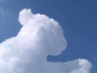 Погода в Луганске на завтра  июня