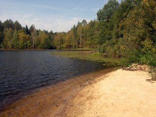 В Луганской области только 6 мест отдыха на воде соответствуют требованиям