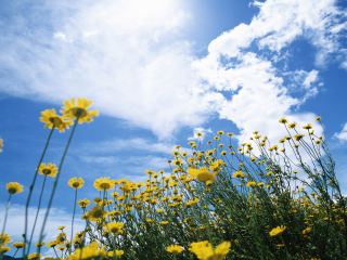 Погода в Луганске на выходные, 6 и 7 июля