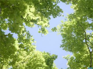 Погода в Луганске на завтра, 11 июля