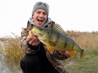 Готовим удочки. В Луганске окунь и судак активно начнут клевать в воскресенье (видео)
