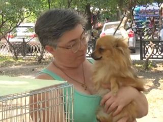 В луганской маршрутке разгорелся скандал из-за собак (видео)