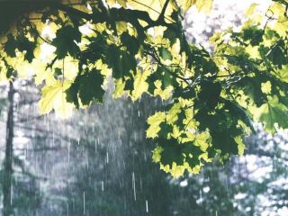 Погода в Луганске на выходные, 20 и 21 июля