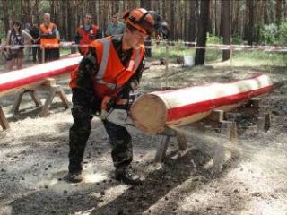 На Луганщине устроили показательный лесоповал