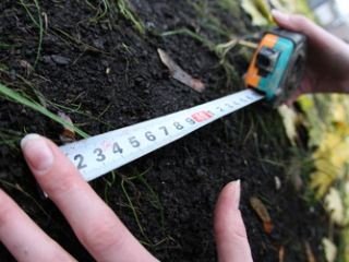 Получив в аренду новый земельный участок, нужно отчитаться в органы Миндоходов