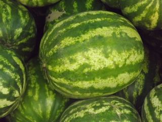 Полосатый рейд, или Как торговцев арбузами выселяли с насиженных мест (фото)