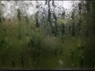 Погода в Луганске на завтра, 24 июля: дождь