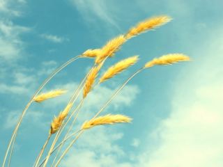 Погода в Луганске на завтра  июля