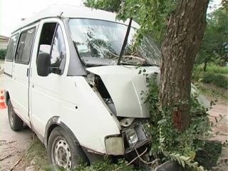 В Луганске пьяный водитель микроавтобуса врезался в дерево фото