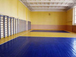 В луганских школах взялись за ремонт спортзалов фото