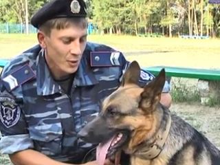 На Луганщине немецкие овчарки спасли детский лагерь от террористов видео