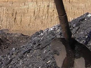 На территории заказника в Луганской области незаконно добывали уголь