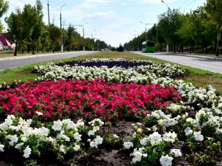 тысяч цветов высадили в Луганске