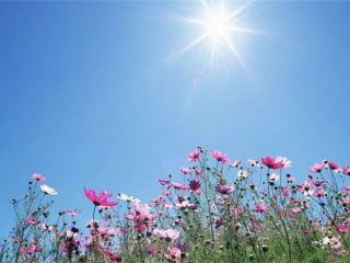 Погода в Луганске на завтра  августа