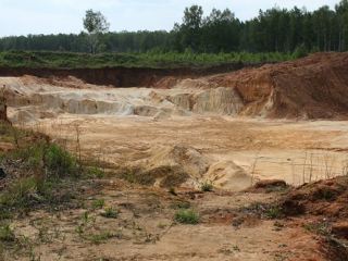 В Луганской области  гектаров леса уничтожат ради добычи песка