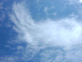 Погода в Луганске на выходные  и  августа