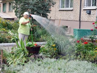 Луганск прихорашивают ко Дню города фото