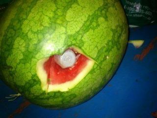 В колонию на Луганщине пытались пронести арбузы с сюрпризом