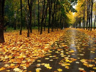 Погода в Луганске на завтра, 25 сентября