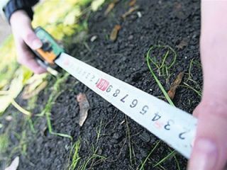 На Луганщине фермер пытался присвоить  гектаров земли