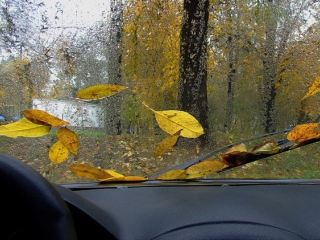 Погода в Луганске на завтра, 2 октября