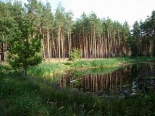 Кременской райсовет дал добро на создание национального парка