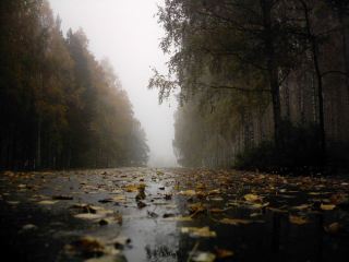 Погода в Луганске на завтра, 22 октября