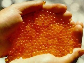 На берегу реки в Луганской области нашли ящики с красной икрой