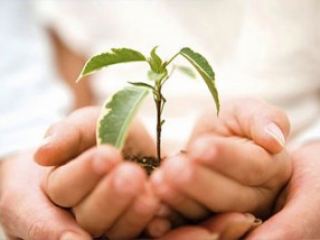 В Луганске чествовали лучших работников социальной сферы