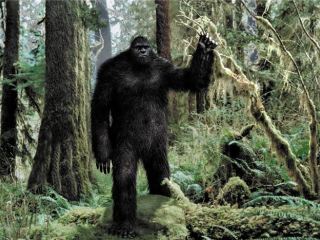 В Луганске ловят снежного человека